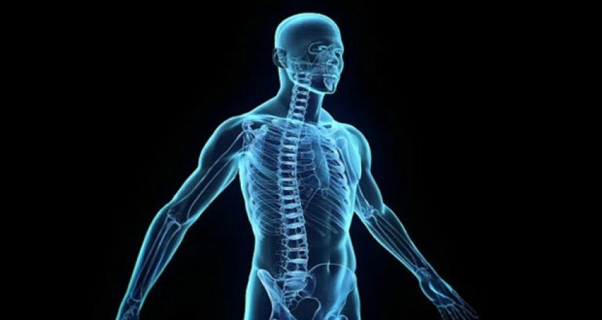 رازهای ناگشوده بدن انسان؛ از معمای چانه تا تفاوت اندازه بیضه‌ها