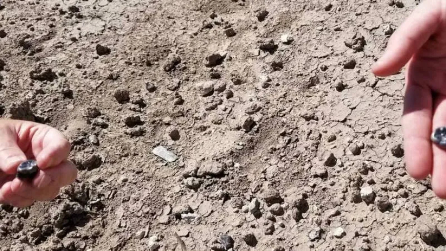 کشف شگفت‌انگیز در اتیوپی | گونه‌ای تازه از دودمان تکاملی انسان معرفی شد